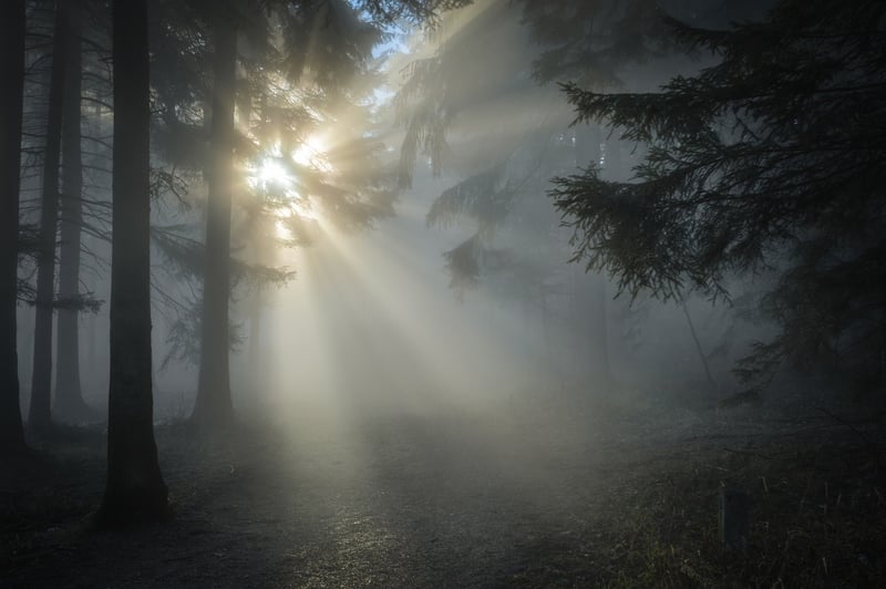 Whispers of Secrets